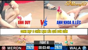 TRẬN 8 CPC3 11/5/2025