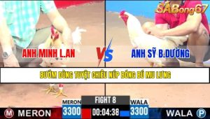 TRẬN 8 CPC3 6/5/2025
