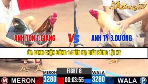 TRẬN 8 CPC3 7/5/2025
