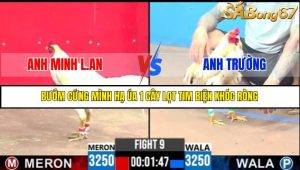 TRẬN 9 C3 21/05/2025