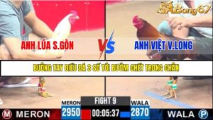 TRẬN 9 C3 22/05/2025