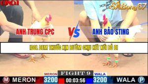 TRẬN 9 CPC1 15/5/2025