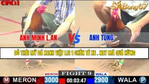 TRẬN 9 CPC1 8/5/2025