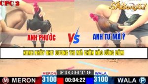 TRẬN 9 CPC2 4/5/2025