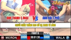 TRẬN 9 CPC3 1/5/2025