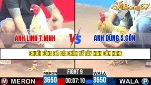 TRẬN 9 CPC3 2/5/2025