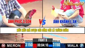 TRẬN 9 CPC3 6/5/2025