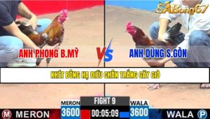 TRẬN 9 CPC3 8/5/2025