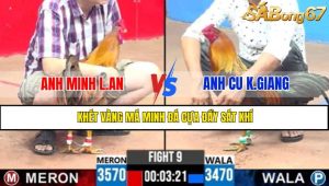TRẬN 9 CPC3 9/5/2025