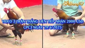 3 trận thắng liên tiếp nhận 2000 USD