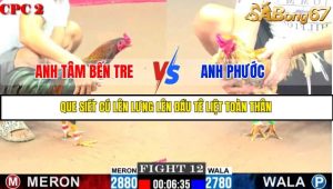 TRẬN 12 C2 11/6/2025