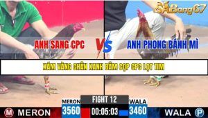 TRẬN 12 C3 11/6/2025
