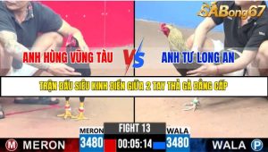 TRẬN 13 C3 11/6/2025