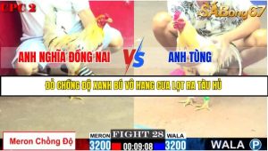 TRẬN 28 C2 11/6/2025