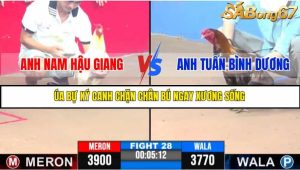 TRẬN 28 C3 11/6/2025