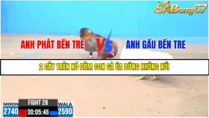 TRẬN 28 C3 9/6/2025