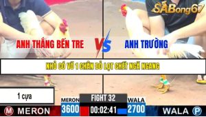 TRẬN 32 C3 10/6/2025