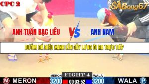 TRẬN 4 C2 11/6/2025