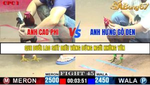 TRẬN 45 C1 9/6/2025