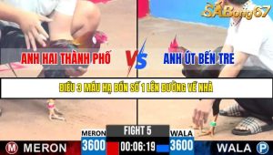 TRẬN 5 C3 10/6/2025