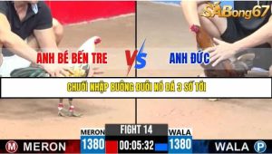 Trận 14 Bồ Gà C3 23/6/2025