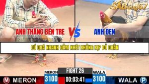 Trận 26 Bồ Gà C3 23/6/2025