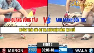 Trận 3 Bồ Gà C3 23/6/2025
