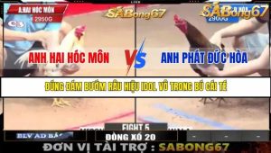 Trận 5 Bồ Gà C3 23/6/2025