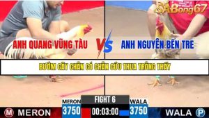 Trận 6 Bồ Gà C3 23/6/2025
