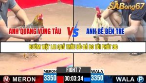 Trận 7 Bồ Gà C3 23/6/2025
