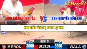 Trận 9 Bồ Gà C3 23/6/2025