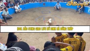 Trận 1 Bồ Dinh Bà 21/6/2025