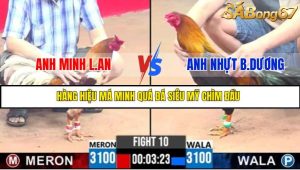 TRẬN 10 C3 8/6/2025