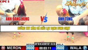 TRẬN 11 C1 9/6/2025