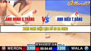 Trận 14 Bồ Gà C1 30/6/2025
