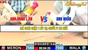 TRẬN 14 C1 9/6/2025