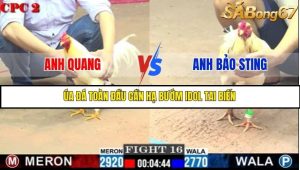 Trận 16 Bồ Gà C2 25/6/2025