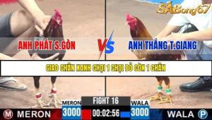Trận 16 Bồ Gà C3 30/6/2025