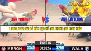 TRẬN 16 C3 9/6/2025