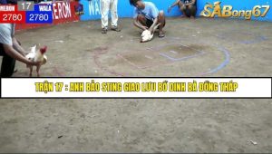 Trận 17 Anh Bảo Sting và Campuchia