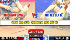 TRẬN 17 C2 1/6/2025