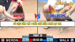 Trận 18 Bồ Gà C3 29/6/2025