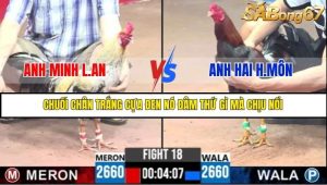 Trận 18 Bồ Gà C3 30/6/2025