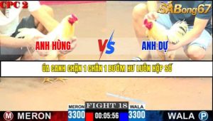 TRẬN 18 C2 8/6/2025