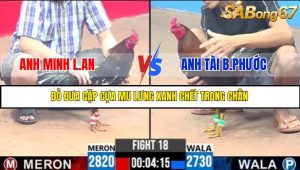 TRẬN 18 C3 2/6/2025