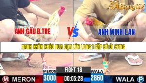 TRẬN 18 C3 8/6/2025