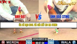Trận 2 Bồ Gà C2 25/6/2025