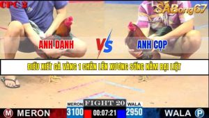 TRẬN 20 C2 8/6/2025