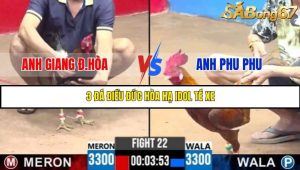 Trận 22 Bồ Gà C3 22/6/2025