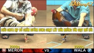Trận 22 Bồ Gà CPC4 18/6/2025